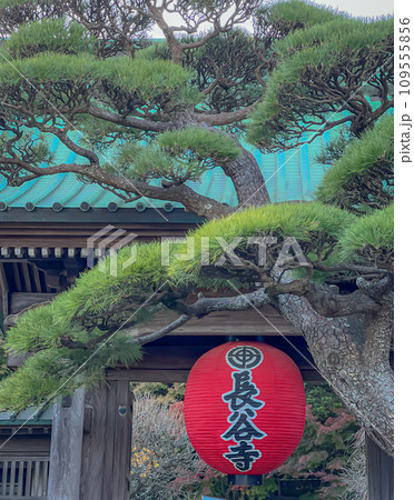 鎌倉長谷寺の山門の赤い提灯 鎌倉長谷寺の山門の赤い提灯 109555856