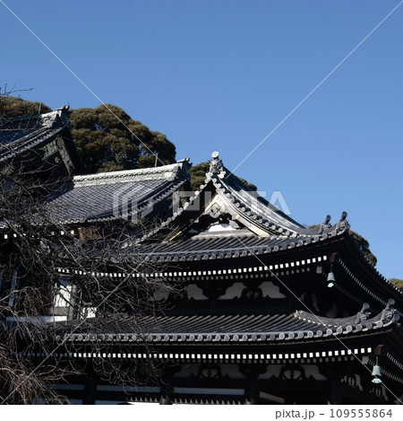 青空に映える長谷寺観音堂 青空に映える長谷寺観音堂 109555864