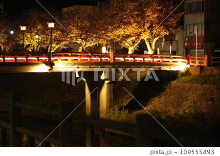 鳥取市の夜景 鳥取市の夜景 109555893
