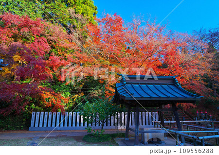 観福寺の秋 109556288