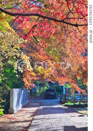 観福寺の秋 109556292