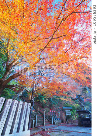 観福寺の秋 109556293