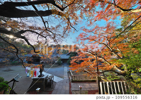 観福寺の秋 109556316