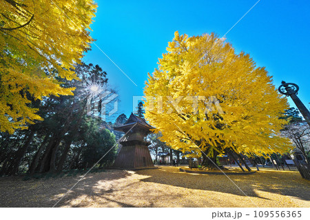 西蓮寺の秋 西蓮寺の秋 109556365