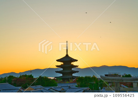 【京都府】11月・紅葉時期に大勢の観光客で賑わう京都の街並み 【京都府】11月・紅葉時期に大勢の観光客で賑わう京都の街並み 109556425