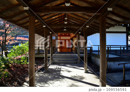 勿来の関　2022-11-27　＃16 109556591