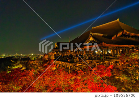【京都府】11月・夜間特別拝観に大勢の観光客で賑わう清水寺 109556700