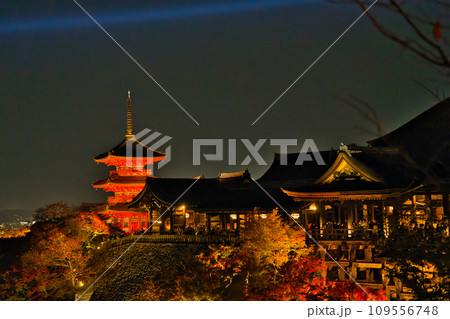 【京都府】11月・夜間特別拝観に大勢の観光客で賑わう清水寺 【京都府】11月・夜間特別拝観に大勢の観光客で賑わう清水寺 109556748