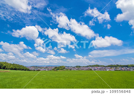 《雲のある風景》夏の青空と郊外の田園風景 109556848