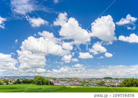 《雲のある風景》郊外の田んぼに広がる夏の青空 109556856
