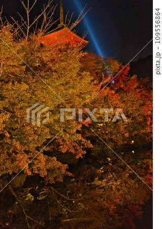 【京都府】11月・夜間特別拝観に大勢の観光客で賑わう清水寺 【京都府】11月・夜間特別拝観に大勢の観光客で賑わう清水寺 109556864