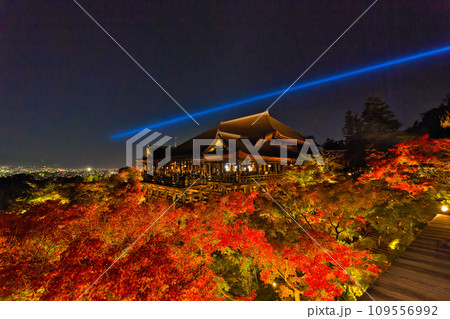 【京都府】11月・ライトアップされた清水寺《夜間特別拝観》 109556992