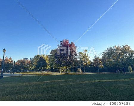 綺麗な公園でのんびり風景 109557188
