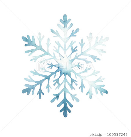 Watercolor Snowflakes, Delicate Winter Art on isolated background 109557245