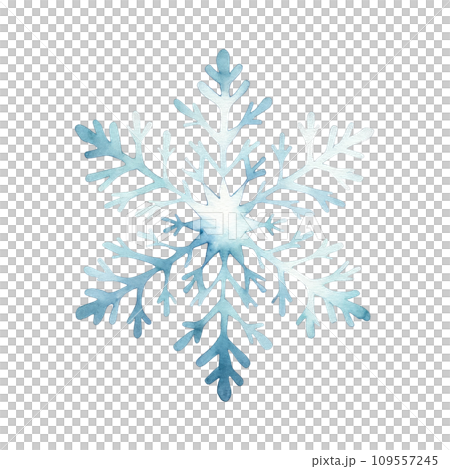 Watercolor Snowflakes, Delicate Winter Art on isolated background 109557245