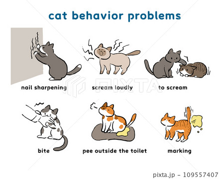 猫の問題行動イラストセット 猫の問題行動イラストセット 109557407