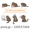 飲食する黒猫のイラストセット 109557408