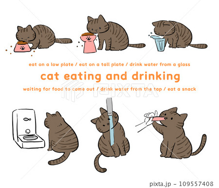 飲食する黒猫のイラストセット 飲食する黒猫のイラストセット 109557408