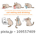 飲食するシャム猫のイラストセット 109557409
