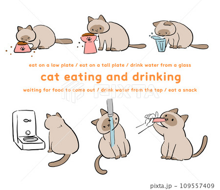 飲食するシャム猫のイラストセット 109557409