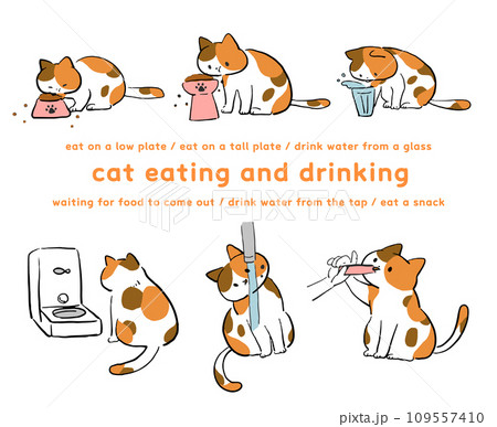 飲食する三毛猫のイラストセット 109557410