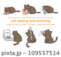 飲食する黒猫のイラストセット 109557514