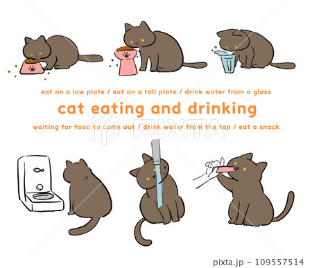 飲食する黒猫のイラストセット 109557514