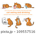 飲食する茶トラ猫のイラストセット 109557516