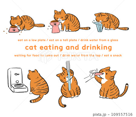 飲食する茶トラ猫のイラストセット 109557516