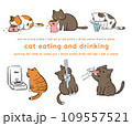 飲食する猫のイラストセット 109557521