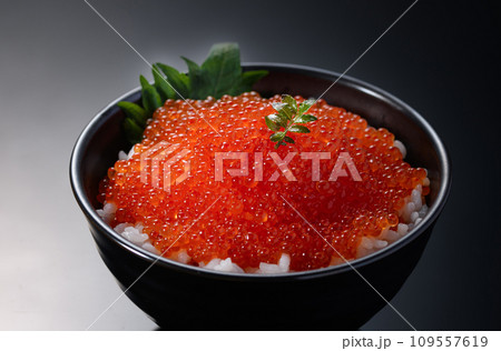 最強の海鮮丼　いくら丼 109557619