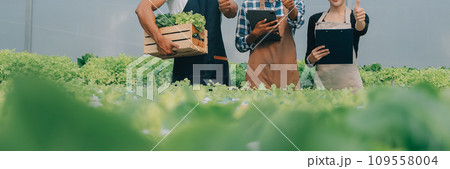 Young Asian woman and senior man farmer working together in organic hydroponic salad vegetable farm. Modern vegetable garden owner using digital tablet inspect quality of lettuce in greenhouse garden. 109558004