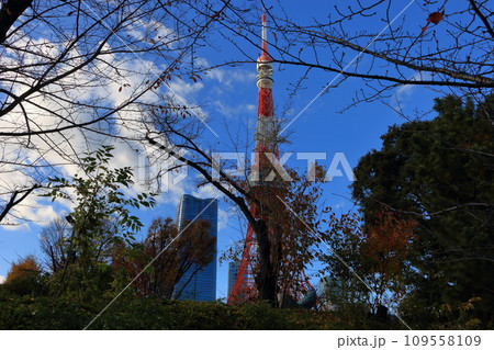 Tokyo Tower with the new Azabu Hills building as seen from Shiba Park in Tokyo Japan with a blue sky 109558109