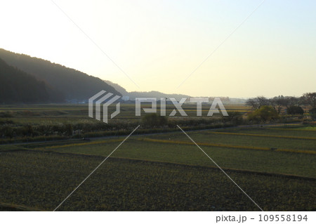 県道287号のメタセコイア並木道の東側原風景 【滋賀県高島市マキノ町】 県道287号のメタセコイア並木道の東側原風景 【滋賀県高島市マキノ町】 109558194