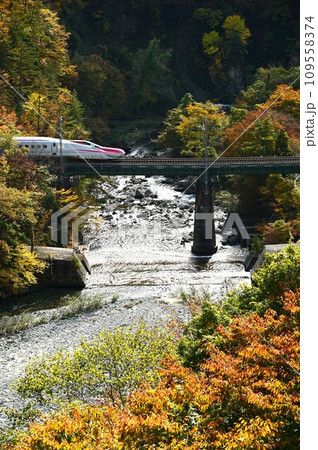 こまちも走る田沢湖線 こまちも走る田沢湖線 109558374