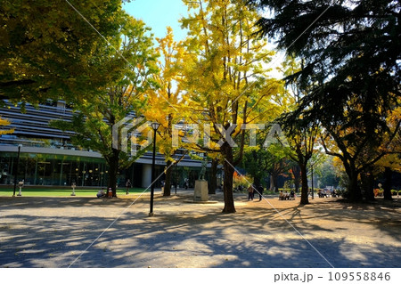 板橋区平和公園 板橋区平和公園 109558846