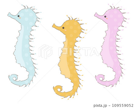 タツノオトシゴのセットイラスト 109559052