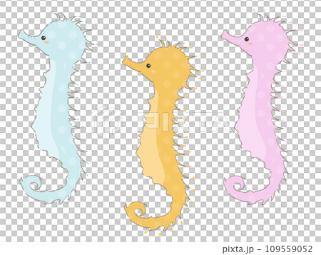 タツノオトシゴのセットイラスト 109559052