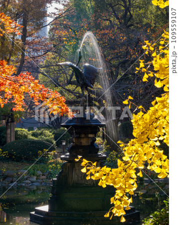 秋の日比谷公園　雲形池の「鶴の噴水」 109559107