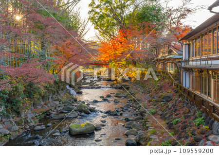 修善寺温泉　紅葉　（静岡県） 109559200