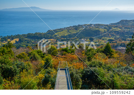 小室山　展望台　伊豆 109559242