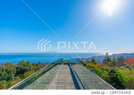 小室山　展望台　伊豆 109559268