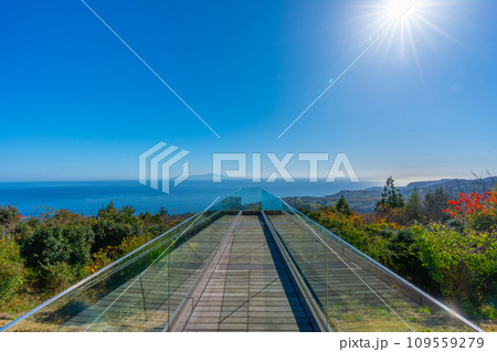 小室山　展望台　伊豆 109559279