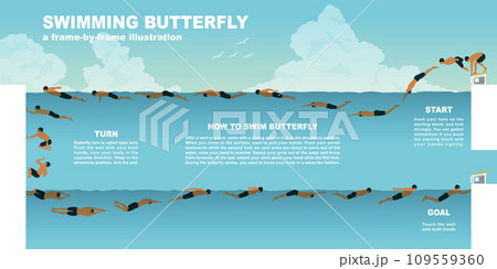 快晴の青空の下で泳ぐ壁紙・背景イラスト　バタフライ 109559360