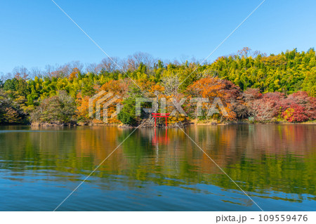 一碧湖　（いっぺきこ）　紅葉　伊豆　伊東 109559476