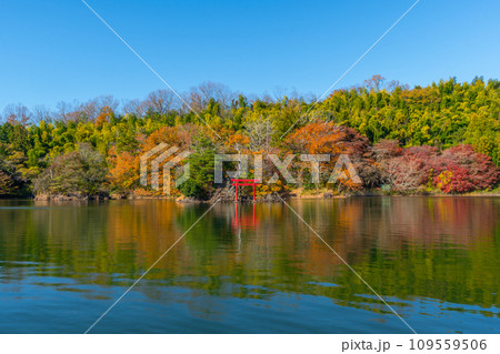 一碧湖　（いっぺきこ）　紅葉　伊豆　伊東 109559506