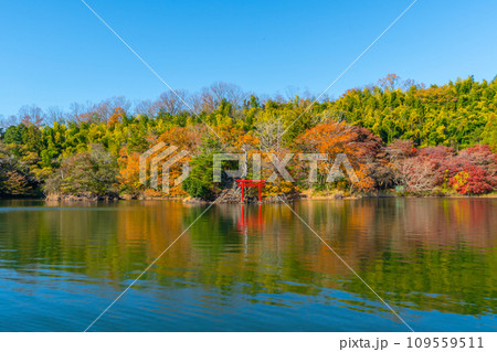 一碧湖 (いっぺきこ) 紅葉 伊豆 伊東 一碧湖 (いっぺきこ) 紅葉 伊豆 伊東 109559511