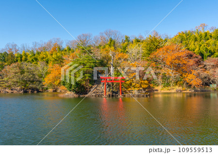 一碧湖　（いっぺきこ）　紅葉　伊豆　伊東 109559513