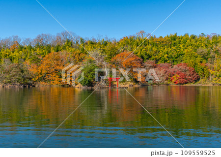 一碧湖　（いっぺきこ）　紅葉　伊豆　伊東 109559525