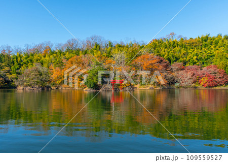 一碧湖　（いっぺきこ）　紅葉　伊豆　伊東 109559527